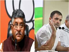 Demeaning India's Institutions To Safeguard Your Corruption, Misdeeds: BJP's Countercharge At Rahul Gandhi