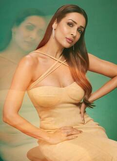 PHOTO : काय त्या अदा, चाहते फिदा; मलायकाचं अद्भुत अन् बोल्ड सौंदर्य