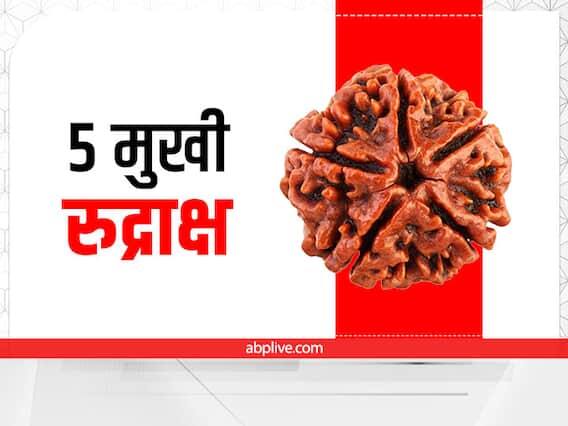 5 મુખી રુદ્રાક્ષના ફાયદાઃ પાંચ મુખી રુદ્રાક્ષ ધારણ કરવું ધન અને સમૃદ્ધિ માટે શુભ માનવામાં આવે છે. તે માનસિક શાંતિ આપે છે સાથે જ તે અકાળ મૃત્યુથી બચાવવામાં ખૂબ મદદગાર સાબિત થાય છે.