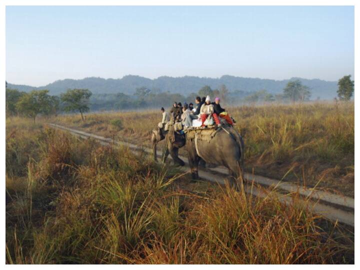 Uttarakhand Tourism Department To Develop 'Modi Circuit' At Corbett Tiger Reserve Uttarakhand Tourism Department To Develop 'Modi Circuit' At Corbett Tiger Reserve