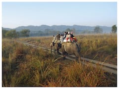 Uttarakhand Tourism Department To Develop 'Modi Circuit' At Corbett Tiger Reserve