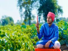 Crop Management: फल-सब्जियों की तुड़ाई के समय ये गलती करते हैं ज्यादातर किसान, इस बार न दोहरायें