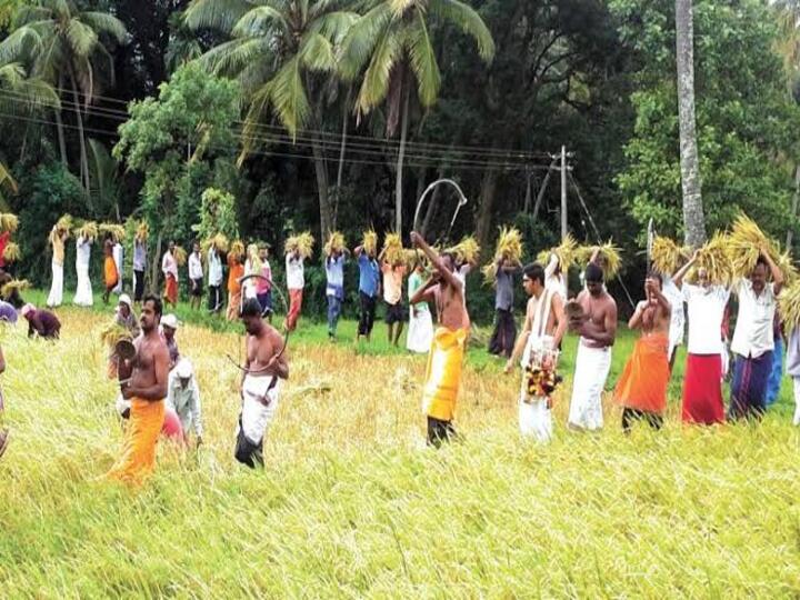 கேரளா: ஆர்ப்பரித்த வெள்ளம்.. கொட்டும் மழையில் கூடிய பக்தர்கள் கூட்டம்… சபரிமலையில் அமோகமாக நடந்த நிறை புத்தரிசி பூஜை!