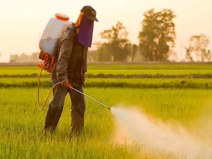 farmers Precautions for spraying chemical Pesticides on crops in agriculture Chemical Pesticides: किसानों की जान के लिये खतरनाक है कीटनाशक, छिड़काव के समय बरतें ये सावधानियां