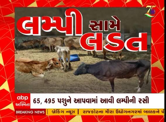 Lumpy Virus : બોટાદમાં પણ લમ્પી વાયરસનો કહેર, કેટલા કેસ નોંધાયા?