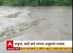 અમરેલીના રાજુલા, લાઠી અને બાબરા તાલુકામાં વરસાદ