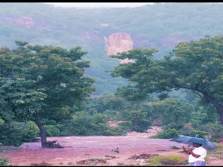 Tiruvannamalai: Heavy rains that have bleached Javvad Hill have prevented access to Bean Falls TNN திருவண்ணாமலை: ஜவ்வாது மலையில் வெளுத்து வாங்கிய கனமழை - பீமன் நீர்வீழ்ச்சிக்கு செல்ல தடை