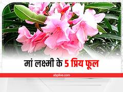 Laxmi ji: मां लक्ष्मी को प्रिय हैं ये 5 फूल, शुक्रवार को महालक्ष्मी को चढ़ाने से मिलेंगे ये लाभ