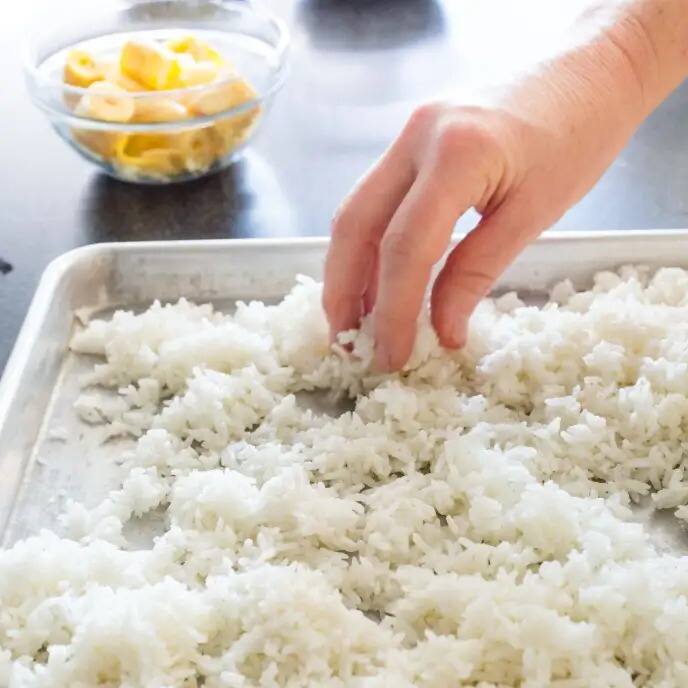 Leftover Rice: Have an instant breakfast with leftover rice, kids will also enjoy it Leftover Rice : ਬਚੇ ਹੋਏ ਚੌਲਾਂ ਨਾਲ ਤੁਰੰਤ ਨਾਸ਼ਤਾ ਕਰੋ ਤਿਆਰ, ਬੱਚੇ ਵੀ ਖੁਸ਼ੀ-ਖੁਸ਼ੀ ਕਰਨਗੇ ਇਨਜੁਆਏ