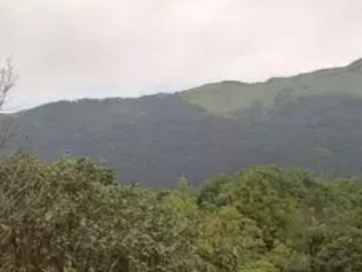 MP News Forest Department Develop forest on 100 Hectare land Near Indore ANN Indore News: अब इंदौर में भी लीजिए जंगल का मजा, इस जगह पर वन विभाग ने 100 एकड़ में बनाया है सिटी फारेस्ट