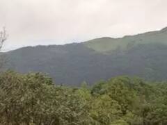 Indore News: अब इंदौर में भी लीजिए जंगल का मजा, इस जगह पर वन विभाग ने 100 एकड़ में बनाया है सिटी फारेस्ट