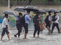 IMD Predicts Heavy Rainfall With Strong Winds In Andhra Pradesh, Telangana. Check Forecast