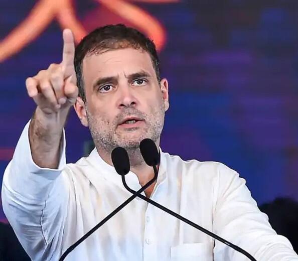 Congress Protest:   'Even Hitler won elections' to 'death of democracy':  Rahul Gandhi on Modi government Congress Protest: રાહુલ ગાંધીનો કેન્દ્ર પર પ્રહાર, કહ્યુ- દરરોજ થઇ રહી છે લોકતંત્રની હત્યા, સંસ્થાઓ પર કબજો કરી હિટલર પણ જીતતો હતો ચૂંટણી