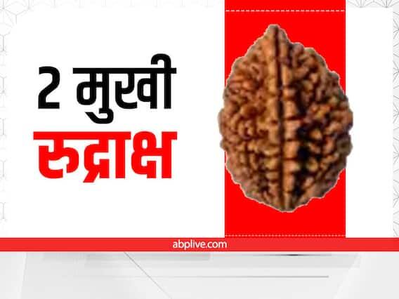 2 મુખી રુદ્રાક્ષના ફાયદાઃ બે મુખી રુદ્રાક્ષ ચંદ્ર ગ્રહ સાથે સંબંધિત છે. તે ભગવાન શિવના અર્ધનારીશ્વર સ્વરૂપનું પ્રતીક છે. શ્રાવણ માં તેને ધારણ કરવાથી દામ્પત્ય જીવનમાં સુખ અને શાંતિ આવે છે. શંકરજી અને મા પાર્વતી બંનેના આશીર્વાદ પ્રાપ્ત થાય છે.