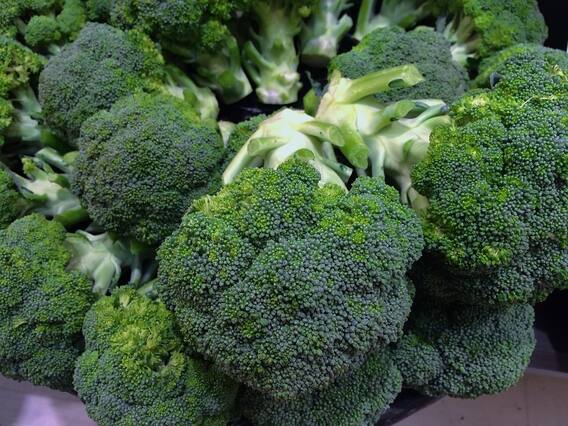 Health Tips: From eyesight to healthy skin, here are the benefits of broccoli