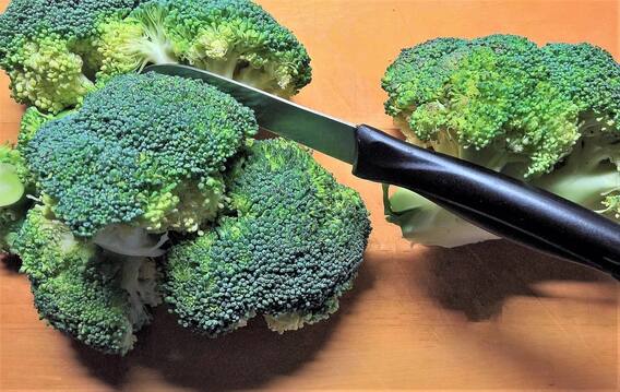 Health Tips: From eyesight to healthy skin, here are the benefits of broccoli