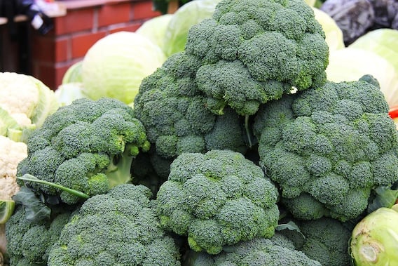 Health Tips: From eyesight to healthy skin, here are the benefits of broccoli