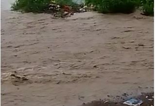 Maharashtra Rains :  लातूरसह नाशिक सोलापूरमध्ये मुसळधार पाऊस, अनेक ठिकाणी शेती पिकांना फटका