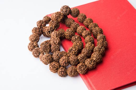 Rudraksh: This is Shiva's favorite Rudraksh, Panchmukhi gives wealth, Rudraksha can be worn in Shravan
