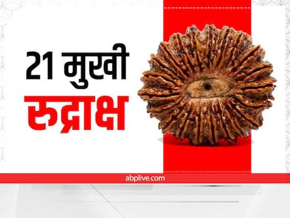 21 મુખી રુદ્રાક્ષના ફાયદાઃ 21 મુખી રુદ્રાક્ષ ધનના દેવતા કુબેર સાથે સંબંધિત છે. જે વ્યક્તિ એકવીસ મુખી રુદ્રાક્ષ ધારણ કરે છે તેને ક્યારેય ધનની કમી થતી નથી. તે મા લક્ષ્મીને આકર્ષે છે. 21 મુખી રુદ્રાક્ષ સમૃદ્ધિ લાવે છે. એવું માનવામાં આવે છે કે ગરીબ પણ ધનવાન બને છે.
