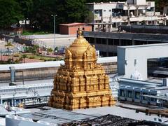 Tirumala Darshan: శ్రీవారికి ప్రతి శుక్రవారం జరిగే ఈ పూజ విశిష్టత తెలుసా? ఆకాశ గంగ జలాలతో శ్రీనివాసుడి ఏం చేస్తారంటే