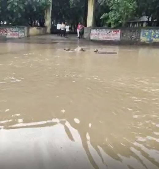 राज्याच्या विविध भागात मुसळधार पाऊस