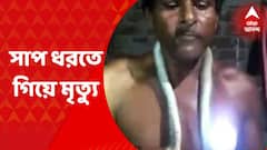 Snake Bite Death: সাপ ধরতে গিয়ে সাপের ছোবলে মর্মান্তিক মৃত্যু হল দাঁতনের এক ব্যক্তির। Bangla News