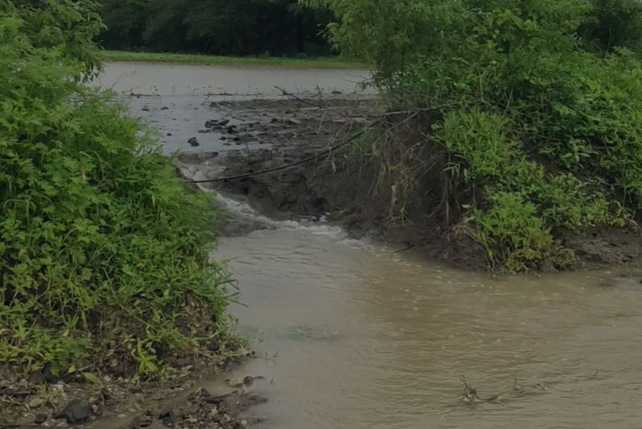 Latur Rain : लातूर जिल्ह्यात पावसाचा कहर, अनेक ठिकाणी जनजीवन विस्कळीत, शेतकरी संकटात