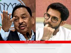 राणे पिता-पुत्रांचा आदित्य ठाकरेंची बदनामी करण्यात मोठा वाटा : दीपक केसरकर
