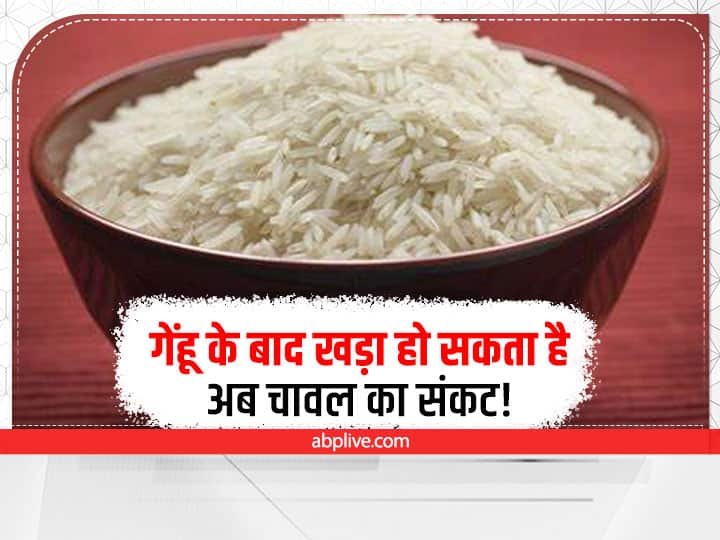 RBI Governor Shatikanta Das Worried After Shortfall In Paddy Sowing IN Kharif Season Rice Prices Likely To Go Up Paddy Production Shortfall: धान की बुआई में कमी ने बढ़ाई आरबीआई गर्वनर की चिंता, जानें क्या बोले शक्तिकांत दास