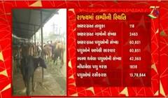 વડોદરા જિલ્લામાં લમ્પી વાયરસનું સંક્રમણ, 600થી વધુ પશુઓ લમ્પીની ચપેટમાં
