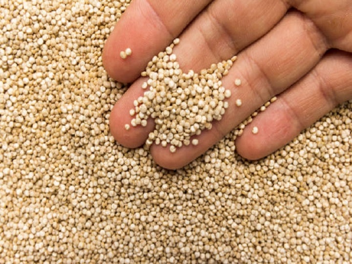 Quinoa Farming: बाजार में बढ़ रही है पोषक अनाज किनोवा की मांग, कम मेहनत में खेती करके कमायें 2.5 लाख तक का मुनाफा