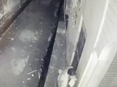 Muzaffarnagar News: मुजफ्फरनगर में देर रात कई मकानों में चोरी से सनसनी, CCTV कैमरे में कैद हुआ शातिर चोर