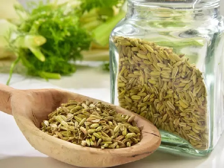 Fennel Cultivation: सौंफ की खुशबू से महक उठेंगे खेत-खलिहान, डबल कमाई के लिये अपनायें खेती का ये खास तरीका