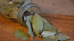 Bay Leaves: অবাক করবে তেজপাতার উপকারিতা