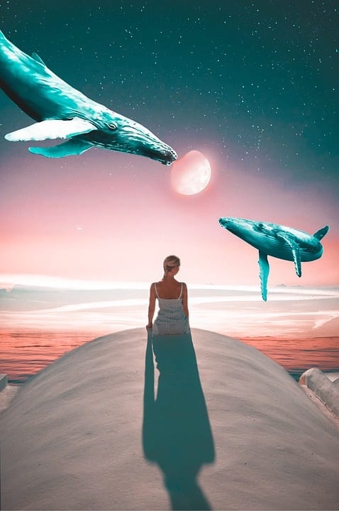 স্বপ্ন (Dream) আমরা কত কীই না দেখি। বিশেষজ্ঞরা জানান, স্বপ্ন তো আসলে আমাদের জেগে থাকাকালীন চিন্তাভাবনারই অবচেতন মনে প্রতিফলন।
