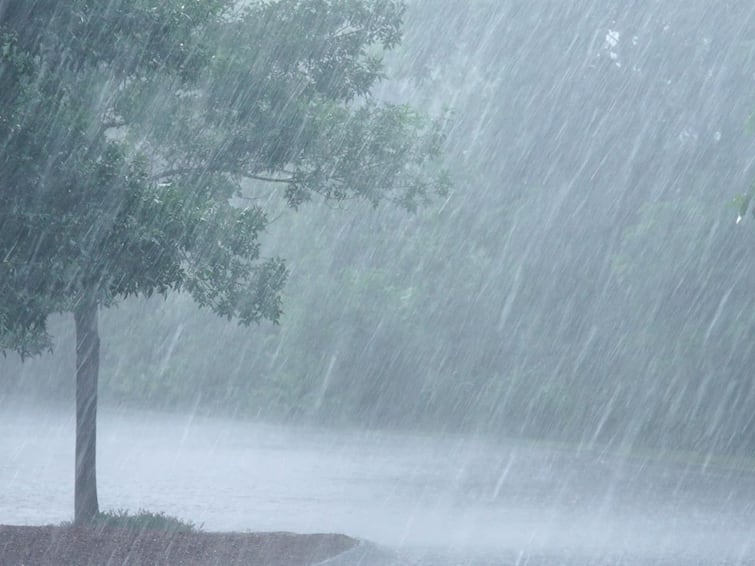 maharashtra rain update Indian Meteorological Department has predicted heavy rains in Maharashtra for next five days Maharashtra Rain Update : महाराष्ट्रात पुढील पाच दिवस मुसळधार पाऊस, भारतीय हवामान विभागाचा अंदाज 
