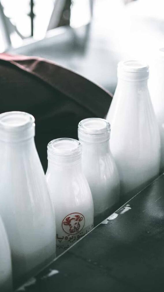 কীভাবে দুধ খেলে ওজন বাড়বে না ?