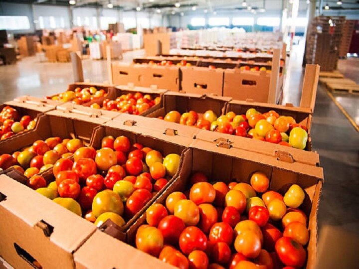 Tomato Processing: कचरे में न फेंके सस्ता टमाटर! दोगुना दाम पर होगी बिक्री, आज ही से शुरू कर दें ये काम