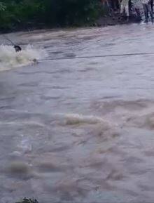 राज्याच्या विविध भागात पावसाची हजेरी