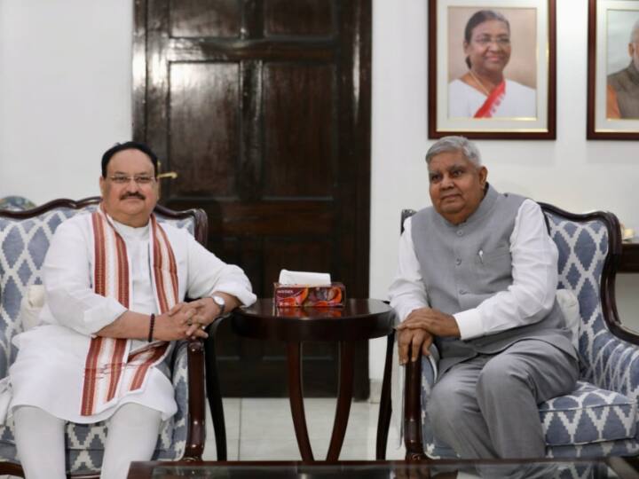 एकतरफा मुकाबले में धनखड़ को कुल 528 मत मिले, जबकि अल्वा को सिर्फ 182 वोट से ही संतोष करना पड़ा. इस चुनाव में कुल 725 सांसदों ने मतदान किया, जिनमें से 710 वोट वैध पाए गए, 15 मतपत्रों को अवैध पाया गया.