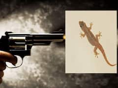 'பல்லி'க்கு குறி வைக்கப்பட்ட துப்பாக்கி! காயமடைந்த சிறுவன்.. பதறவைத்த சம்பவம்!