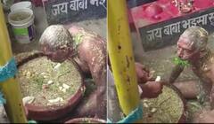 Watch: ਗਾਂ-ਮੱਝਾਂ ਵਾਂਗ ਤੂੜੀ ਖਾਂਦਾ ਹੈ ਇਹ ਵਿਅਕਤੀ, ਵੀਡੀਓ ਦੇਖ ਕੇ ਉੱਡ ਜਾਣਗੇ ਤੁਹਾਡੇ ਹੋਸ਼