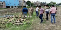 Murshidabad: ডোমকলে নদীর ধার থেকে ২২টি সকেট বোমা উদ্ধার করল পুলিশ