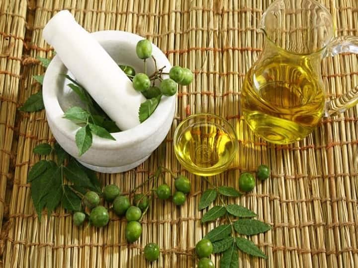 Neem Oil: চুলের যত্নে অনেকেই নানা জিনিস ব্যবহার করে থাকেন। বাজার থেকে কেনা জিনিসের পাশাপাশি বাড়িতেই অনেকেই বানিয়ে ফেলেন হোম মেড বিভিন্ন জিনিস। এবার বাড়িতেই নিম তেল বানানো সম্ভব।