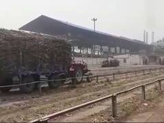 Shamli News: किसानों ने धरना प्रदर्शन कर शुगर मिलों को दी ये चेतावनी, गन्ने का बकाया भुगतान करें नहीं तो...