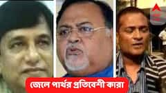 Partha Chatterjee : জেলে পার্থর প্রতিবেশী সারদা - রোজভ্যালি কর্তারা ! একের পর এর হাইপ্রোফাইল নাম