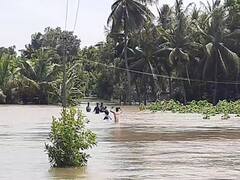 சீர்காழி: ஆபத்தை உணராமல் கொள்ளிடம் ஆற்று வெள்ளத்தில் ஆட்டம் போடும் இளைஞர்கள்..!
