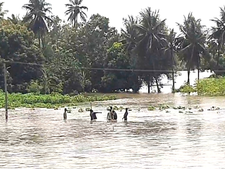 சீர்காழி: ஆபத்தை உணராமல் கொள்ளிடம் ஆற்று வெள்ளத்தில் ஆட்டம் போடும் இளைஞர்கள்..!