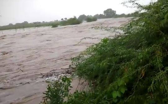 Heavy rains in Amreli, Junagadh, Bhavnagar districts સૌરાષ્ટ્રમાં મેઘમહેર:  અમરેલી, જુનાગઢ, ભાવનગર જિલ્લામાં ધોધમાર વરસાદ